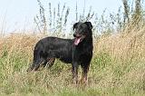 BEAUCERON 084